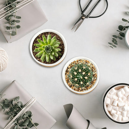Tosnail 12 Pack Small Succulent Pots with 12 Bamboo Trays, 2.5 Inch Round White Ceramic Mini Plant Pots, Tiny Succulent Planters, Cactus, Flower, Air Plant Containers, Modern Home and Office Decor