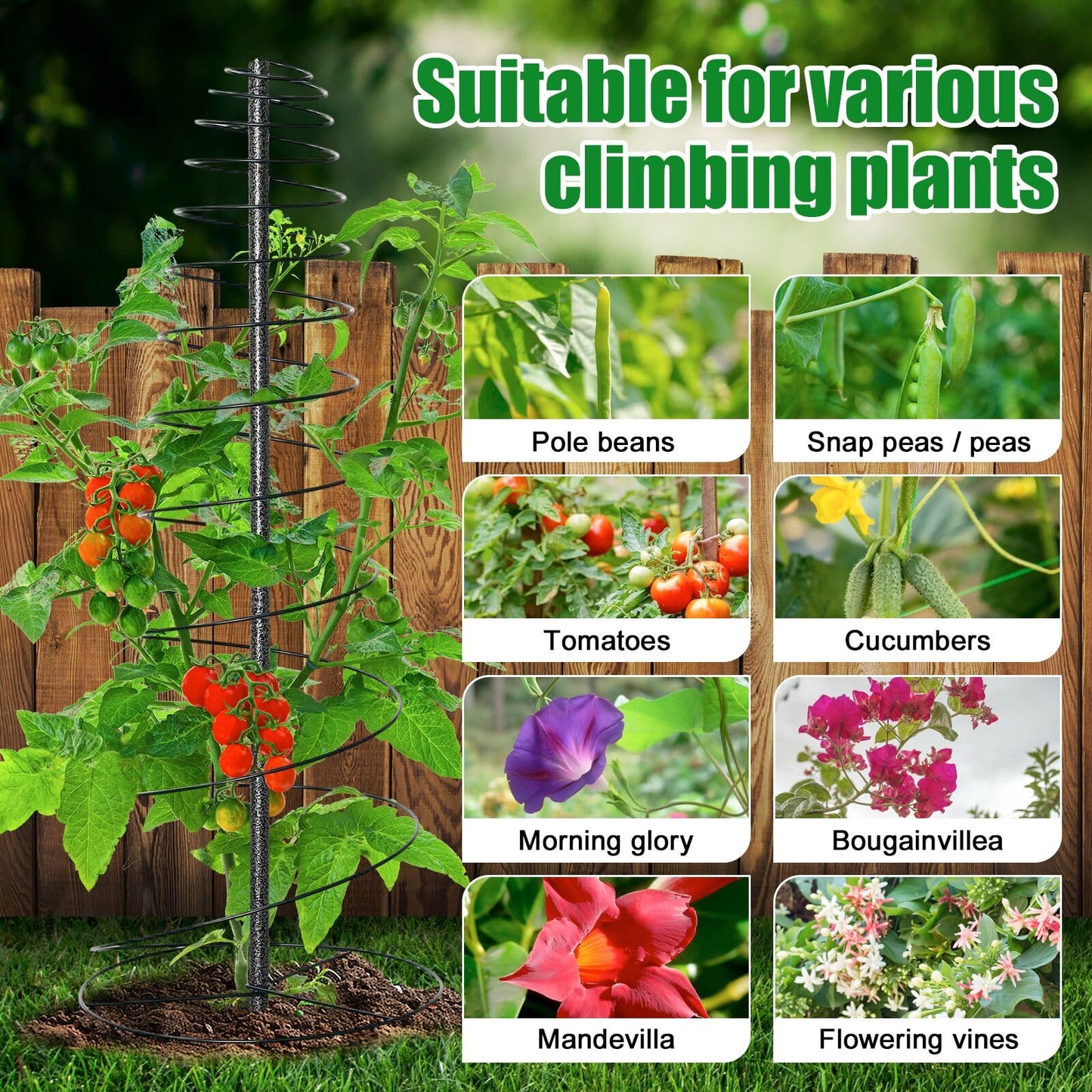 Spiral Frame Trellis for Climbing Plants Outdoor Indoor - 44" Adjustable Heavy Duty Metal Garden Plant Support with Anti-Wobble Screws,for Pole Beans,Tomato, Sweet Pea,Clematis,Potted Plants,Vine