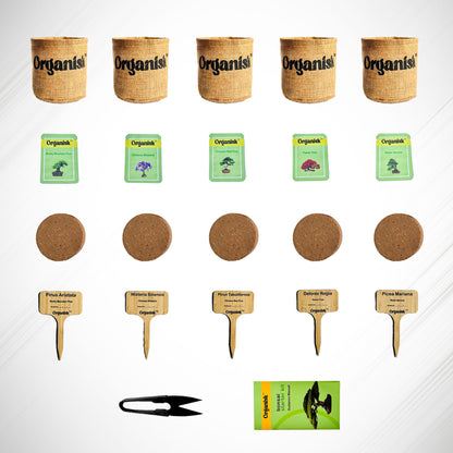 Bonsai Starter Kit - 5 Unique Tree Types, Special DIY Garden Hobby Kits - Great for Plant Lovers, for Kids, Men, Women, and Bonsai Enthusiasts