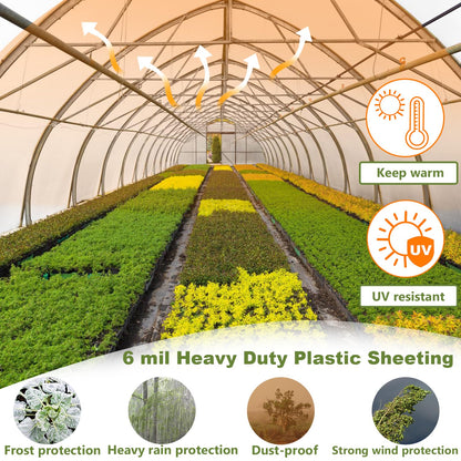 chicarry Greenhouse Plastic Sheeting, 12 x 25ft 6 mil Clear Greenhouse Film, UV Resistant Plastic Sheeting Heavy Duty, Polyethylene Green House Plastic Cover for Farms, Garden, Agriculture