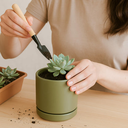 D'vine Dev Set of 4 Small Ceramic Plant Pots, 3.5 Inch Succulent Planter Pot for Plants with Drainage Hole and Saucer, Olive, 94-X-A-0