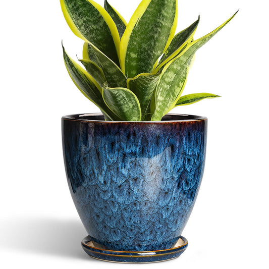 EPFamily 6 Inch Plant Pot - Ceramic Pots for Plants with Drainage Hole and Saucer, Ceramic Planters for Indoor Plants Outdoor, Decorative Round Planter, Room Home Decor, Gifts for Plant Lovers, Blue