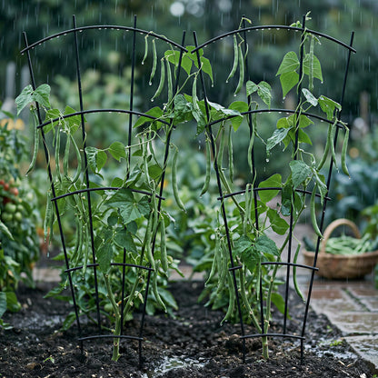 Thealyn 4 Pack 43" Metal Plant Trellis for Pots & Garden Beds, Rustproof Support for Indoor Outdoor Climbing Plants, Vines, Flowers, Fan Shaped, Black