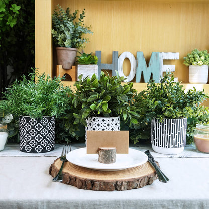 Winlyn 3-Pack Artificial Potted Plants - Faux Eucalyptus, Rosemary, Boxwood Greenery in Small Black & White Geometric Concrete Pots -Desk, Table, Shelf, Windowsill Decor for Indoor Outdoor Home Office