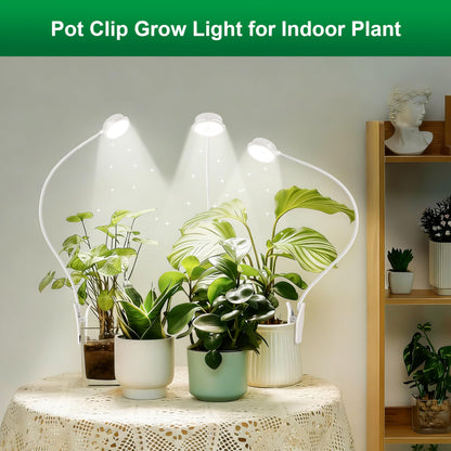 Hywyimlait Grow Lights for Indoor Small Plants, Pot Clip Plant Growing Lights, LED Full Spectrum, Grow Lamps with 4 Level Dimmable, Auto Timer 6/12/ 16 Hrs for Succulents, White 1 Pack