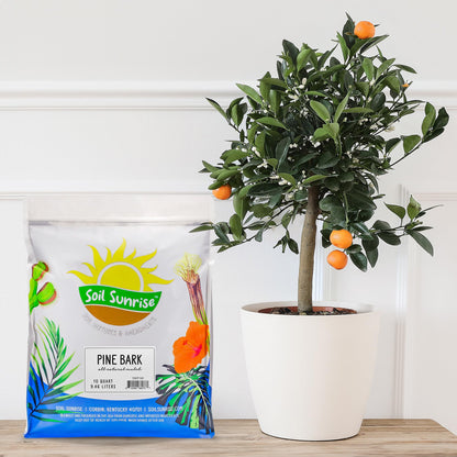 Soil Sunrise 100% Natural Pine Bark Mulch Nuggets (30 Quarts) Small Mulch Chips for Indoor/Outdoor Container Gardening, Ideal for Soil Supplement, Houseplant Mulch, and Terrariums