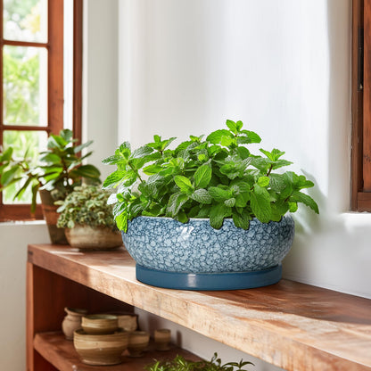 EPFamily Bonsai Pots 10 Inch - Ceramic Succulent Planters with Drainage Hole and Saucer, Succulent Pots for Indoor Outdoor, Shallow Flower Pot, Round Planter, Patio Decor, Housewarming Gifts, Blue