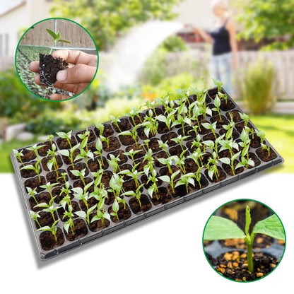 RooTrimmer 72 Cell Seed Trays, Thick Durable 72 Cell Plug Tray Seedling Plastic Nursery Tray for 1020 Flat Germination (10-Pack, 21"×11", 1.81" Height, Low)