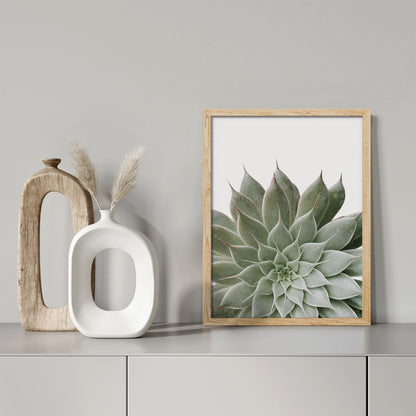 SIGNWIN Framed Desert Succulent Wall Art, Close Up Echeveria Green Flower Wall Decor Prints, Nature Wilderness Wall Décor for Living Room, Bedroom - 12"x16" Natural