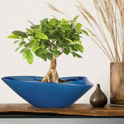 EPFamily Bonsai Pot - 18 Inch Ceramic Planter for Indoor Outdoor Plants Bonsai Tree Pot Modern Large Succulent Planter Decorative Plant Pot with Drainage Hole Blue