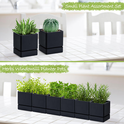D'vine Dev 4 Inch Herb Planter Pot, Plastic Planter with Drainage Holes and Saucer, Modern Decorative Gardening Pot for Indoor Plants, Flowers, Herbs, Succulents, Black, Set of 6, 76-Y-B6-1