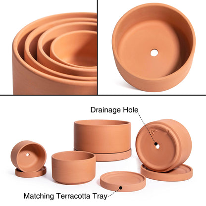 D'vine Dev Set of 4 Terracotta Shallow Planter Pots for Succulent, 3 Inch 4 Inch 5 Inch 6 Inch, Small Flower Plant Pots with Drainage and Saucer, 40-Z-0