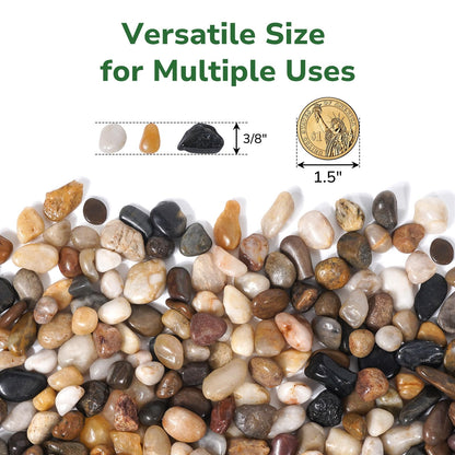 GreatBuddy 5-lb Pebbles for Indoor Plants, 3/8" Pea Gravel for Vases, Small Rocks for Succulents, Fish Tanks, Aquariums, Terrarium, Drainage Pebbles for Potted Plants, River Rocks for Landscaping