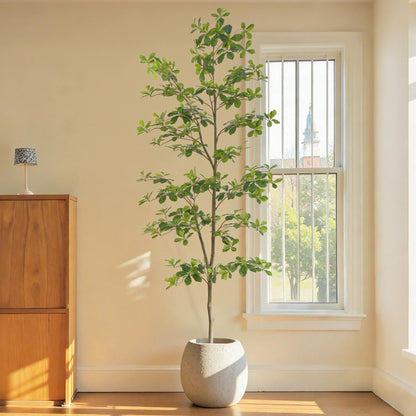 Bellacat Faux Black Olive Tree 7ft, Tall Faux Trees Indoor with Natural Trunk and Realistic Leaves. 7 Feet(84in) Artificial Tree for Home Office Décor.