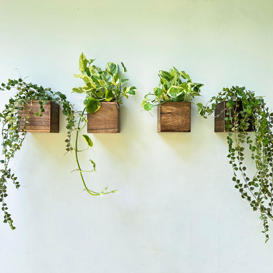 LaLaGreen Wood Planter Boxes (4x4 Inch, 4 Pack) Small Square Wooden Wall Mounted Flower Pot for Indoor Plants, Window Box Mount Hanging Herb Planters Outdoor Plant Holder Vertical Garden Home Decor