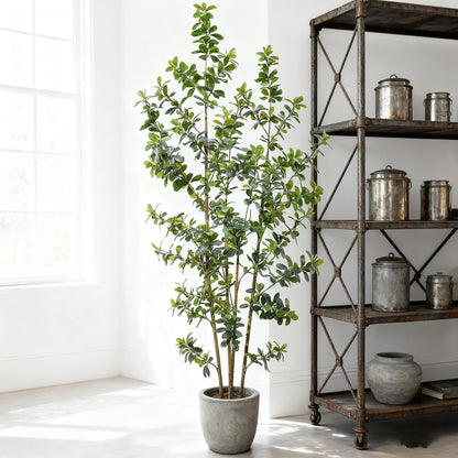 ZSENENT Fake Trees Premium 4 Main Trunks 7 ft Faux Black Olive Tree, Realistic Olive Trees Artificial Indoor, Low-Maintenance, Ideal Artificial Tree for Home Office Décor (Green)