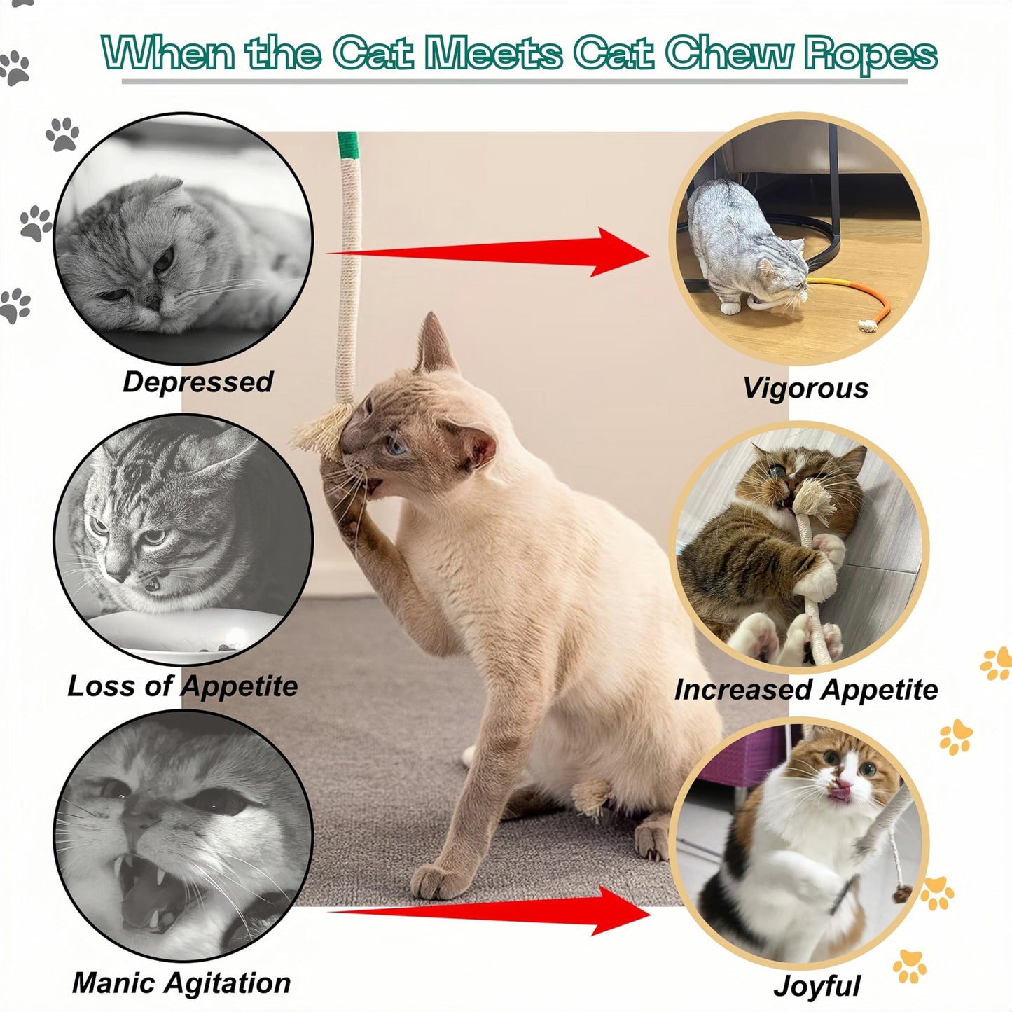 Cat Chew Toys Cat Toys, Silvervine Sticks for Cats Teeth Cleaning Rope, Kitten Teething Dental Care, Kitty for Indoor Cats Increase Appetite, Enhances Oral & Dental Health (21 Pack)