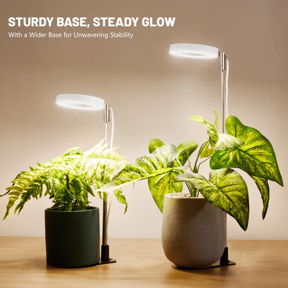 LBW Grow Light for Indoor Plants, Height Adjustable Plant Grow Lamp with Auto On/Off Timer 6/8/12/16H, 3 Colors,5 Dimmable Brightness, for Small Plants, White, 2 Packs