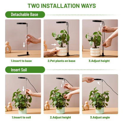 LBW Grow Light for Indoor Plants, Full Spectrum Halo Plant Grow Light with Base, Height Adjustable Plant Lamp with Auto Timer 6/8/12/16H, 3 Color,5 Dimmable Level, for Small Plants, Black, 2 Packs