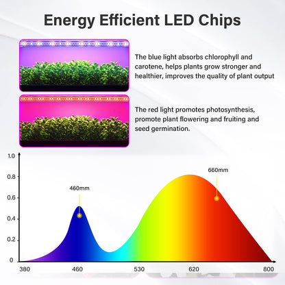 iPower 60W LED Grow Lights with Full Spectrum Plant Growing Light Strips for Indoor Plant with Auto ON/Off 3/9/12H Timer, 10 Dimmable Levels 48 LEDs Per Tude, 4 Tubes, Red&Blue