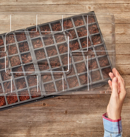 Burpee Self-Watering Seed Starter Tray, 72 Cells