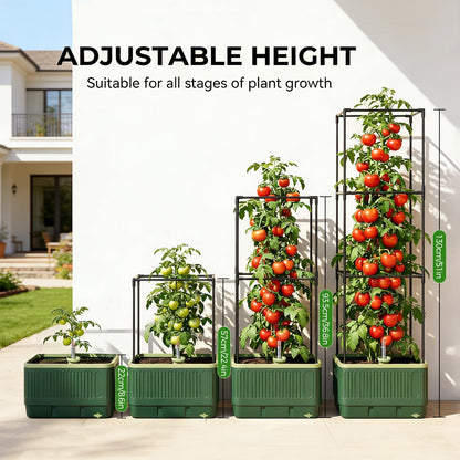 Raised Garden Bed Tomato Planter with Trellis, 52" Self Watering Tomato Planter with Water Level Indicator, Larger Rectangular Tomato Cages for Indoor & Outdoor Climbing Vegetable and Plants (1)