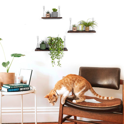 MITIME Floating Shelves Set of 3 Rustic Solid Wood Floating Shelf Wall Storage Shelves for Living Room, Bedroom, Bathroom, Kitchen Laundry, Office.no Drill Shelf.(Retro Color L+M+S)