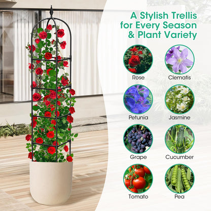 2 Pack Garden Obelisk Trellis for Climbing Plants, 71" Metal Rustproof Plant Support Rose Trellis, Tower Potted Cages for Flowers Fruits Vegetable Vines Indoor & Outdoor, Black(4 Tiers)