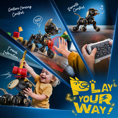 Ruko 18011 Black Gold Robot Dog and 8809 Remote Control Robot Dinosaur Toys for Kids