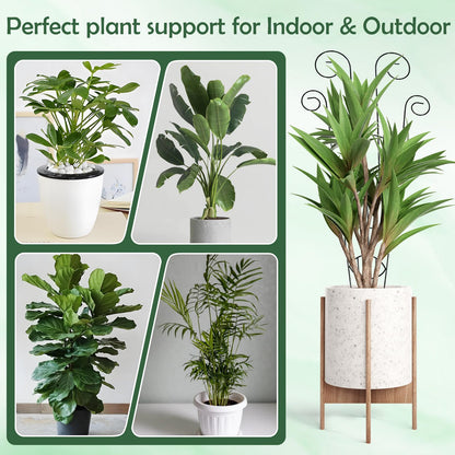 4 Pack Metal Trellis for Climbing Potted Plants Indoor Outdoor - 30 Inch Rustproof Garden Stakes, Plant Support for Monstera Pothos Ivy Hoya Vines, Potted Houseplant