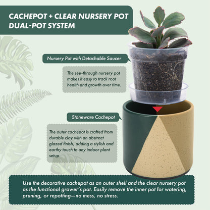 D'vine Dev 4.5" Stoneware Cachepot Planter with 4" Clear Nursery Pot & Detachable Saucer – Indoor Plant Pot with Drainage for Bottom Watering & Root Visibility, Desert Forest, Set of 2, 93-V-B-1
