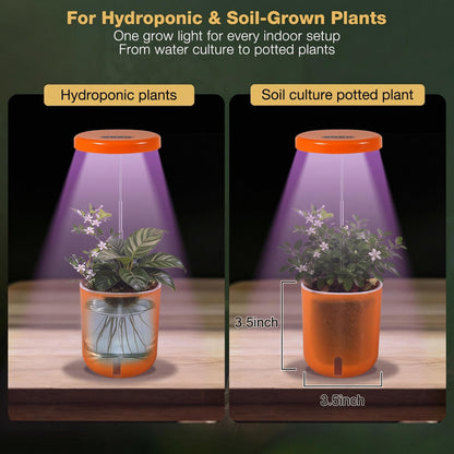 Raygrov Self-Watering Planter with Grow Light — Cute Desk Plant Pot for Office, Bedroom & Window — No Green Thumb Needed, 2-in-1 Wall + Desktop, USB Powered (5W LED, White)