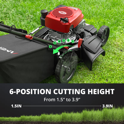 AMERISUN 21-Inch Self-Propelled Gas Lawn Mower for Large Yard, 170cc 4-Stroke Engine, 6-Position Adjustable Cutting Height, 3-in-1 Mulching, Side Discharge & Rear Bag for Garden Landscaping