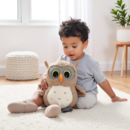 Ryttir 2 Pack 11.7Inch Chubby Small Owl Stuffed Animal, Adventure Stuffed Owl Plush Toy, Brave Boy's and Girl's Room Decor,Funny Owls Gift for Baby Kids Women