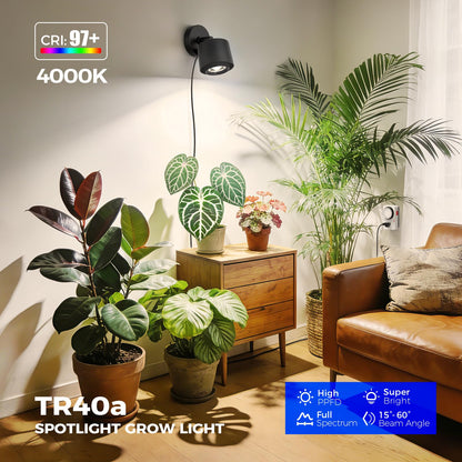 Barrina TR40a Track Grow Lights for Indoor Plants, 15°-60° Adjustable Beam Angle, 40W 4000K Full Spectrum LED Plant Light, High PPFD Spotlight Grow Lamps with Timer for House Plants, 1-Pack, Black
