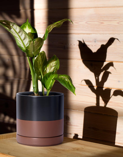 D'vine Dev Set of 2 Plants Pots, 6 Inch Ceramic Planter Pot for Plants with Drainage Hole and Saucer, Black/Speckled Tan, 94-V-C-7