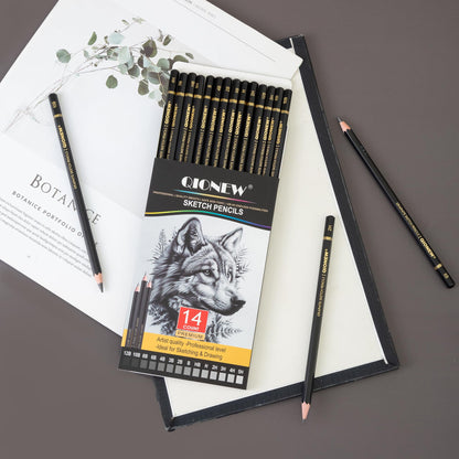 Qionew Professional Sketching Pencil for Drawing,14 Pack, Graphite Pencils, (12B-5H), Art Pencils for Drawing and Shading, Sketching, Ideal for Beginners & Pro Artists