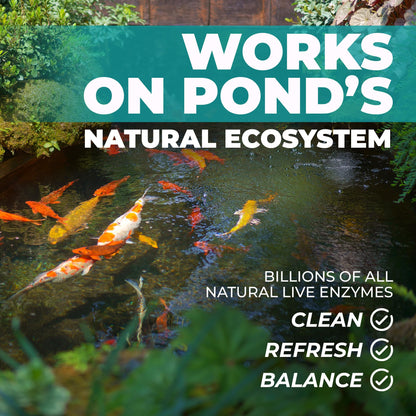 Natural Pond Care Ball – Easy Drop-in Maintenance for Outdoor Ponds and Water Features, Suitable for Fish & Plants, Up to 2500 Gallons – 4 Week Use