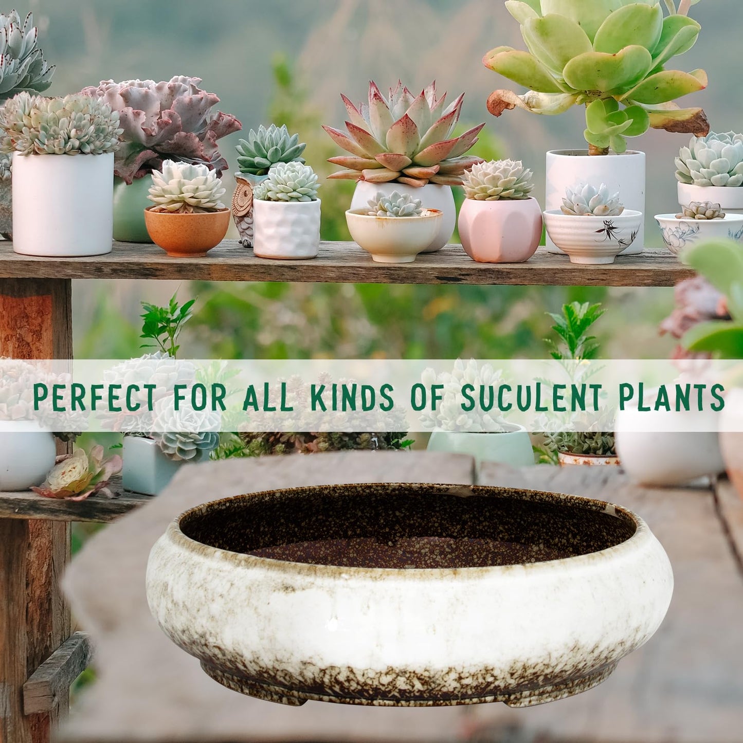 ARTKETTY Succulent Pots - Ceramic Bonsai Pots with Drainage, Large Shallow Succulent Planters for Indoor Outdoor Plants, Round Glazed Cactus Flower Plant Container Bowl Home Desk Decor