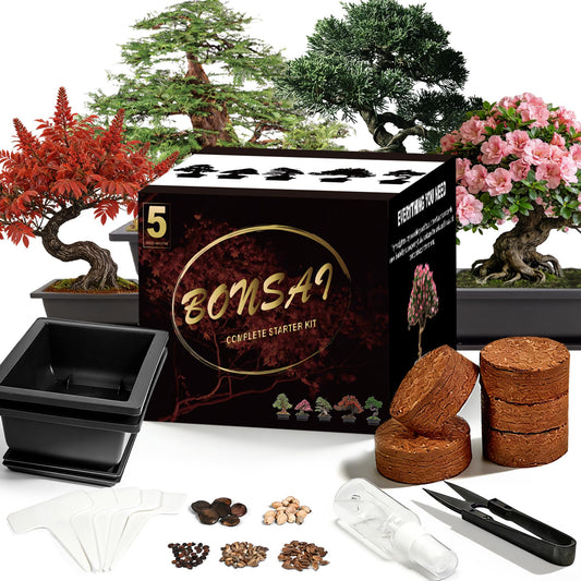 Sproutix Bonsai Starter Kit, Growing into Blue Spruce, Boxwood, Dawn Redwood, Flame Tree and Judas Tree, Including Complete Gardening Tools in A Gift Box