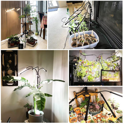 Garpsen Grow Lights for Indoor Plants, 5 Heads Full Spectrum Grow Light with Adjustable Tripod Stand, 100PCS LEDs Plant Light for Indoor Plants with 6/12/16H Timer and 3 Light Modes(No Clip)
