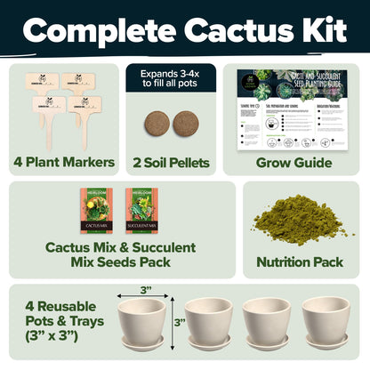 HOME GROWN Succulent & Cactus Seed Kit for Planting – [Enthusiasts Favorites] Premium Cactus & Succulent Starter Kit: 4 Planters, Drip Trays, Markers, Seeds Mix, Soil - DIY Gift Kits
