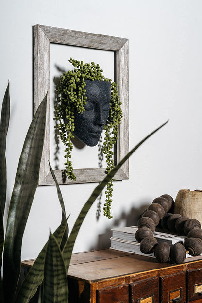 Bossa Linda Wall Planter | Unique Face Planters Pots - Plant Gifts for Indoor Plant Lovers Gift Ideas - Succulent Plant Gift - Tranquilo Black