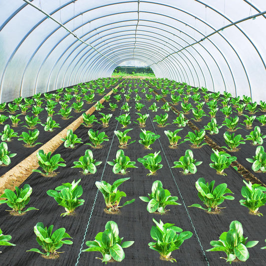 Pattiumo Weed Barrier Fabric 3x180FT Landscape Fabric 3.2oz Weed Barrier Fabric Heavy Duty for Landscaping Fabric Garden Fabric Weed Barrier Weed Blocker Garden Bed Cover, Commercial Driveway