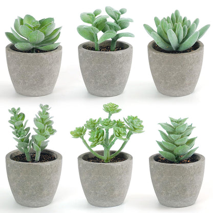 DomeStar Set of 6 Artificial Succulent Plants Potted, Assorted Decorative Faux Succulent Potted Fake Cactus Cacti Plants with Pots