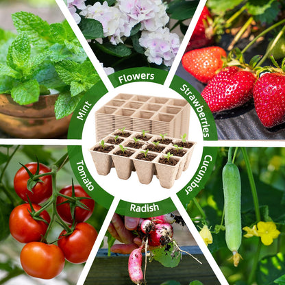 Hanmsen Seed Starter Tray,240 Cell Biodegradable Peat Pots Seed Starter Kit,Organic Germination Trays for Vegetable Flower Seedlings with 20 Plant Labels & 2 Garden Tools -20 Pack