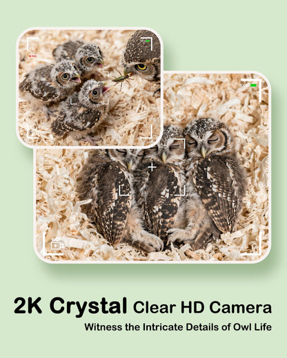 Owl House with Camera Solar Powered,4G Cellular, Anti-Corrosion Varnish Pinewood,Owls Nesting Box for Screech owl, 2K HD, Instant Alerts, Night Vision, APP Control,Nest Box for Outside（NOT WiFi）