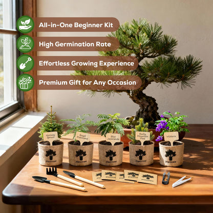 Christmas Gifts & Crafts for Adults - Bonsai Tree Starter Kit with 5 Unique Japanese Trees | Complete DIY Gardening Kit for Birthday | Gifts for Women, Men, Mom, Dad, Plant Lovers