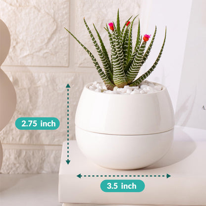 Willowy 3.5 Inch Small Succulent Pots - 3pk, Mini/Small White Ceramic Succulent Pots - No Plants Included