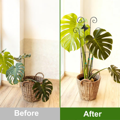 COOMIN 30'' Monstera Plant Support Outdoor, Metal Expandable Plant Supports for Indoor Plants, Garden Monstera Trellis for Climbing Plants Indoor, 2pcs